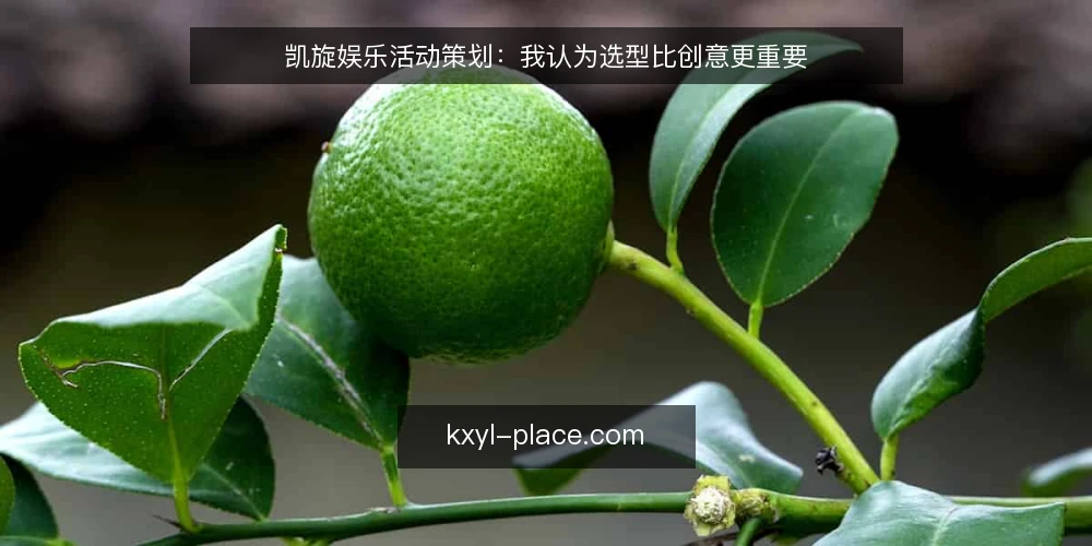 凯旋娱乐活动策划：我认为选型比创意更重要 — 需求定义：先弄清凯旋娱乐活动的真实目标 配图